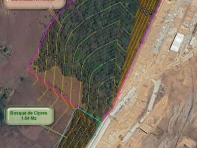 42 manzanas en Jocotillo km 36